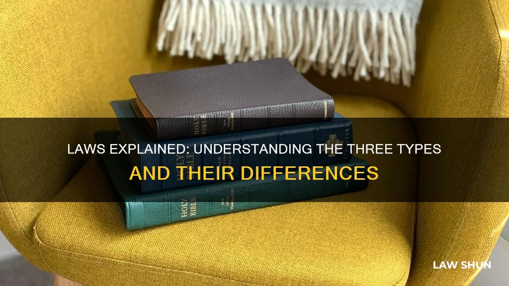 what is the difference between the 3 types of laws