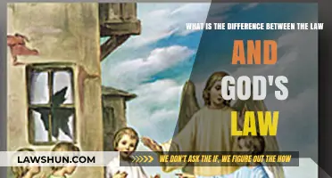 God's Law: Beyond Human Justice