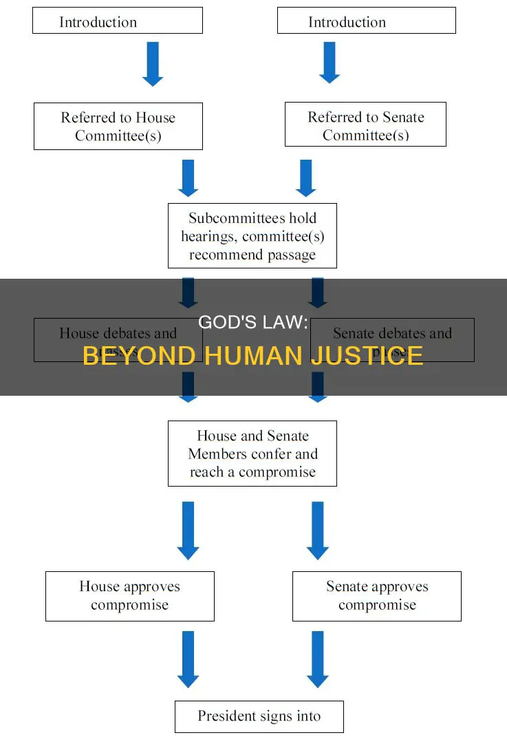 what is the difference between the law and god