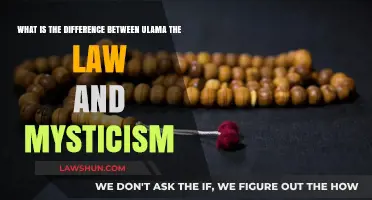 Unveiling the Mysticism-Law Divide in Islam