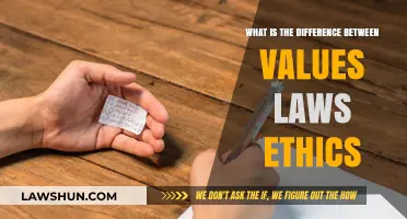 Laws, Ethics, and Values: What's the Difference?
