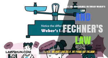 Weber's Law vs. Fechner's Law: Understanding Sensory Thresholds