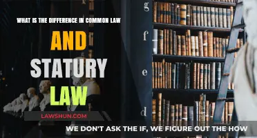 Common Law vs Statutory Law: What's the Difference?