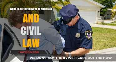 Criminal vs. Civil Law: Key Differences and Legal Implications Explained