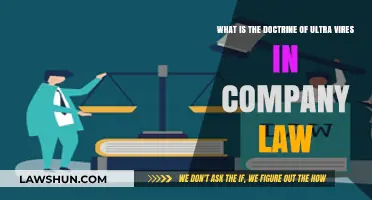 Understanding the Doctrine of Ultra Vires in Company Law