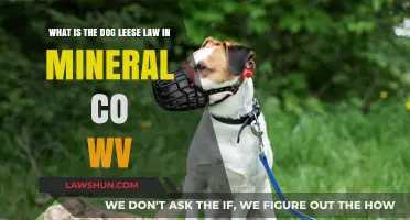 Understanding Mineral County, WV's Dog Leash Law: What You Need to Know