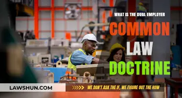 Understanding Dual Employer: Common Law Doctrine Explained