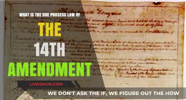 Understanding the 14th Amendment's Due Process Law: A Comprehensive Guide