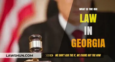 Understanding Georgia's DUI Laws: Penalties, Process, and Legal Insights