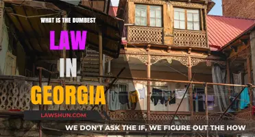 Georgia's Strangest Laws: Uncovering the Dumbest Rule on the Books