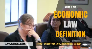 Understanding Economic Law: Definition, Scope, and Real-World Applications