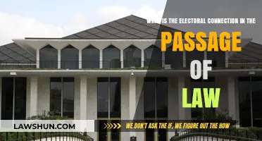 Understanding the Electoral Connection in Lawmaking Processes
