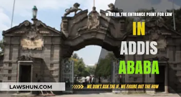 Exploring Addis Ababa's Legal Gateway: Understanding the Entrance Point for Law