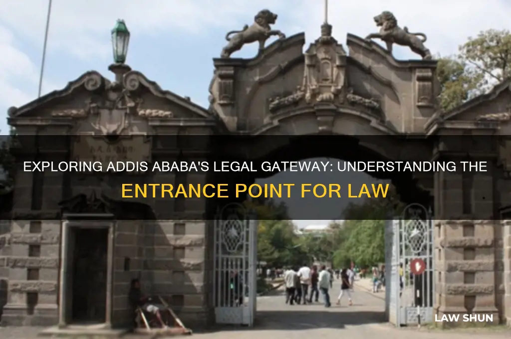 what is the entrance point for law in addis ababa