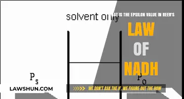 Understanding the Epsilon Value in Beer's Law for NADH Analysis