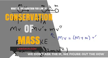 Understanding the Law of Conservation of Mass Equation