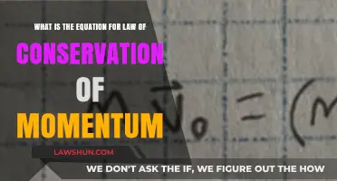 Understanding the Equation for Law of Conservation of Momentum