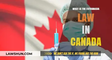 Canada's Euthanasia Law: Understanding the Right to Die