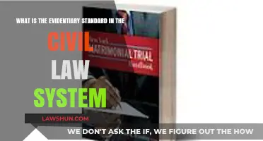 Understanding Evidentiary Standards in Civil Law Systems: Key Principles Explained