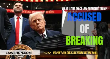 Trump's Accusations: What Law Was Broken?