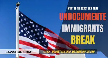 Undocumented Immigrants: Understanding Their Legal Status