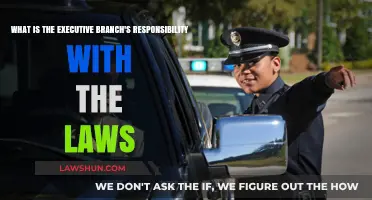 Executive Branch's Role: Enforcing and Implementing Laws Effectively