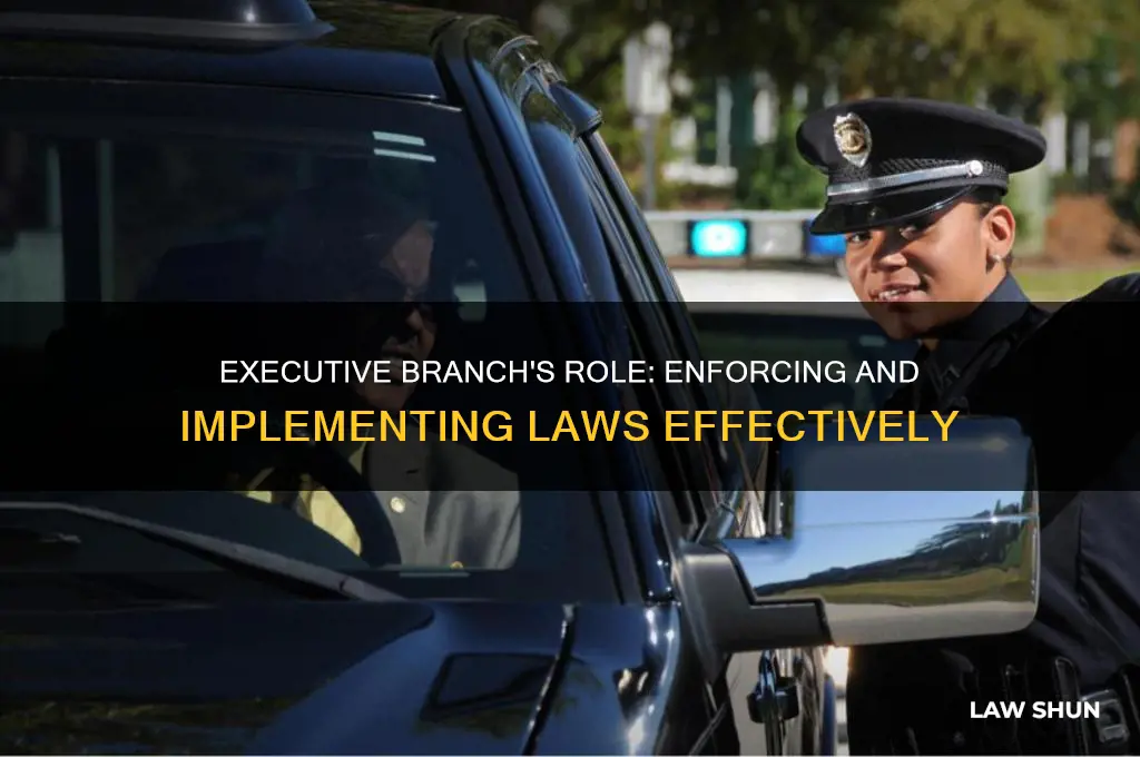 what is the executive branch