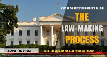 Executive Branch's Crucial Role in Shaping and Implementing Laws