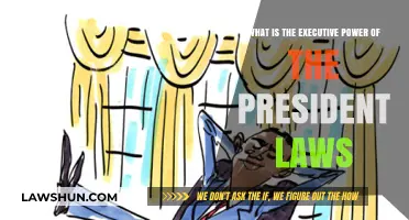 Understanding the President's Executive Power and Its Legal Boundaries