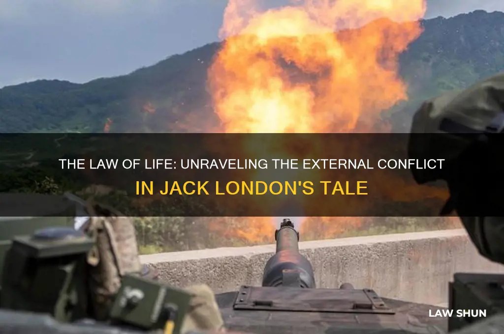 what is the external conflict in the law of life