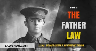 Understanding the Father Law: Origins, Implications, and Modern Applications