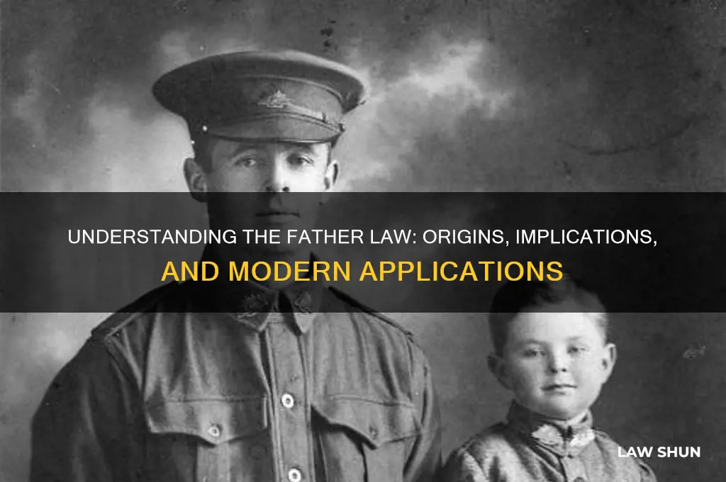 what is the father law