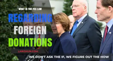 Understanding FEC Regulations on Foreign Donations in U.S. Elections