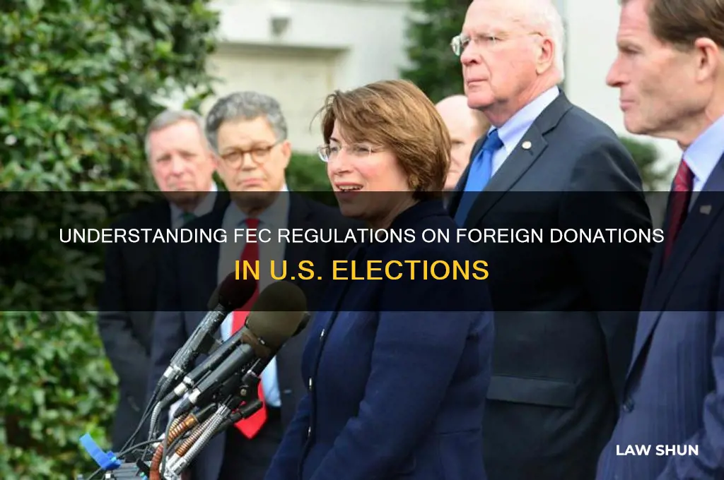what is the fec law regarding foreign donations