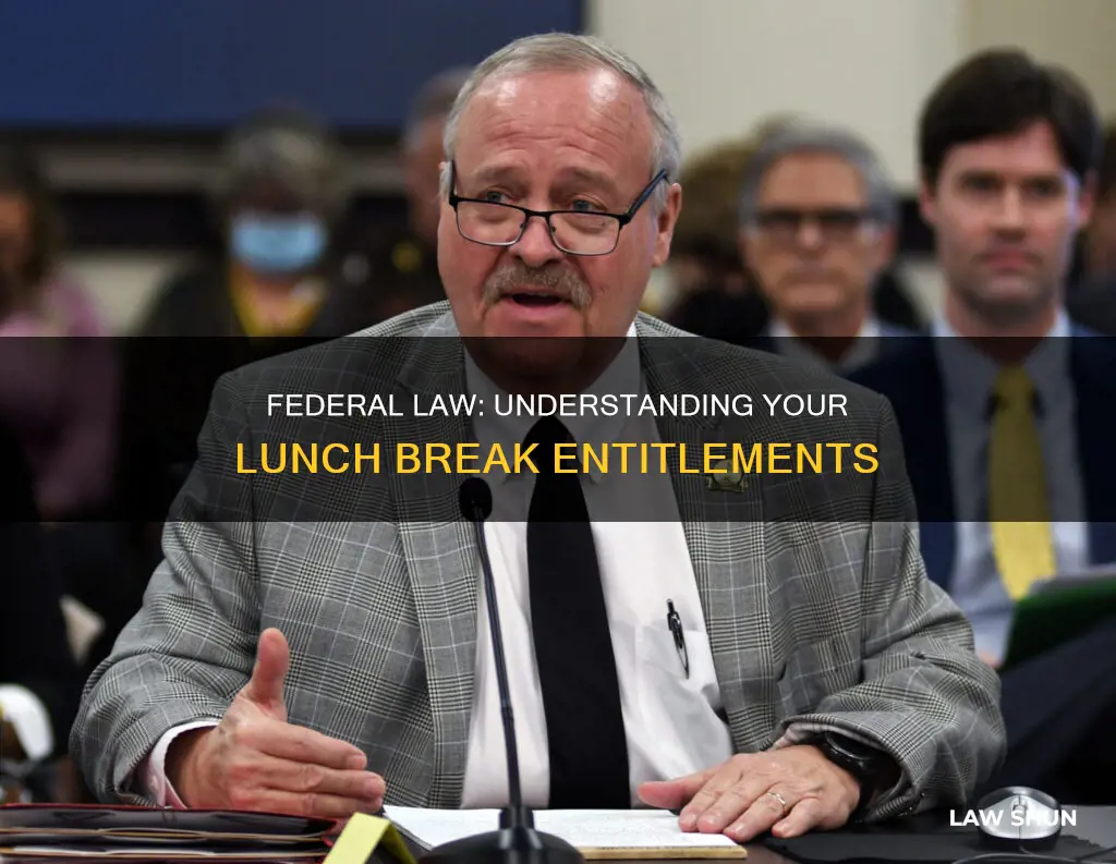 what is the federal law on lunch breaks