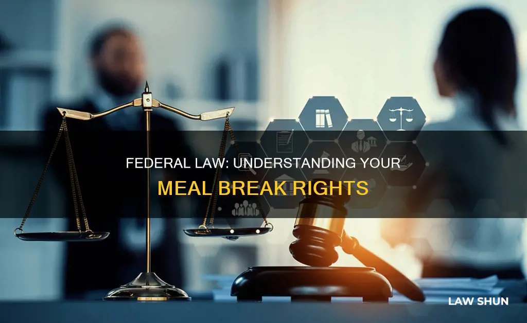 what is the federal law on meal break