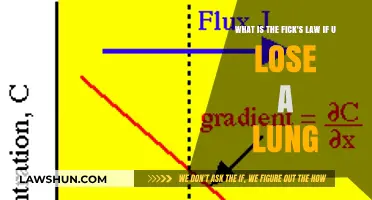 Understanding Fick's Law: Impact of Lung Loss on Gas Exchange