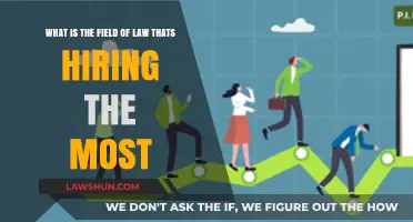 Top Legal Fields with Highest Job Growth and Hiring Demand