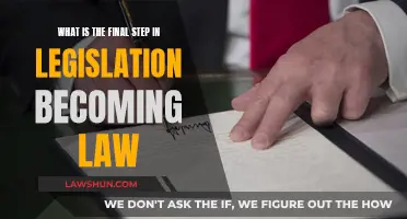 The Final Step: Law or Legislation?