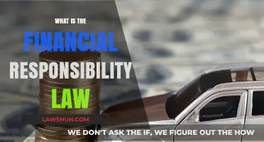 Understanding Financial Responsibility Law: A Comprehensive Guide