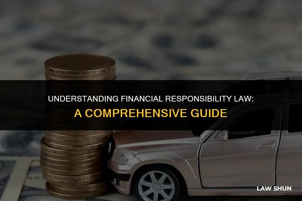 what is the financial responsibility law