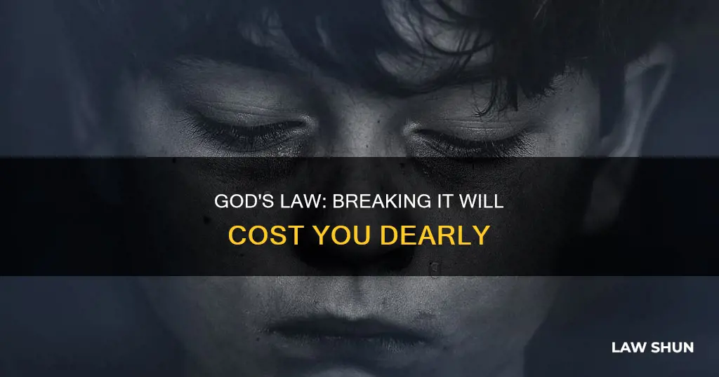 what is the fine for breaking god