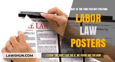 Avoiding Penalties: Labor Law Poster Non-Compliance Fines Explained