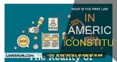 First Amendment: Cornerstone of American Liberty