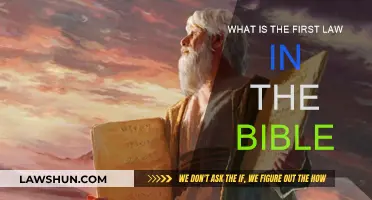 The First Commandment: Love and Worship Only God