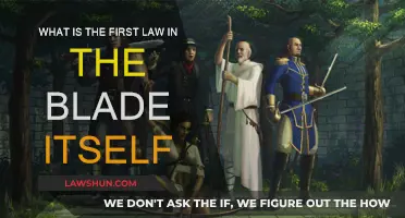 The First Law's Blade: A World of Magic and Betrayal