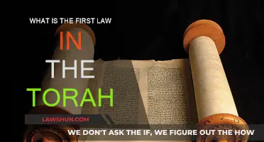 The Torah's First Law: A Foundation for Jewish Life