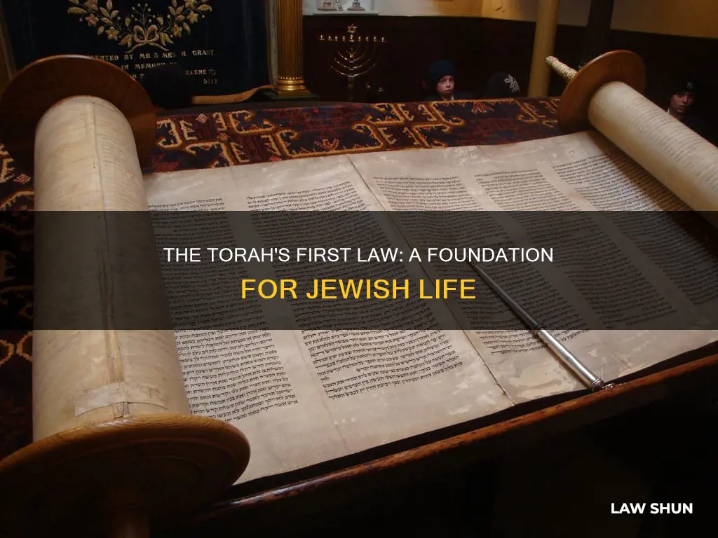 what is the first law in the torah