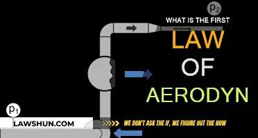 Aerodynamics 101: First Law of Motion for Aircrafts