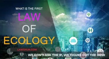 Ecology's First Law: Energy Flows Through Ecosystems